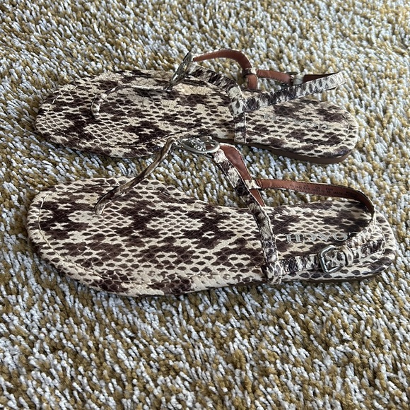 Coach - Picture 3 of 5